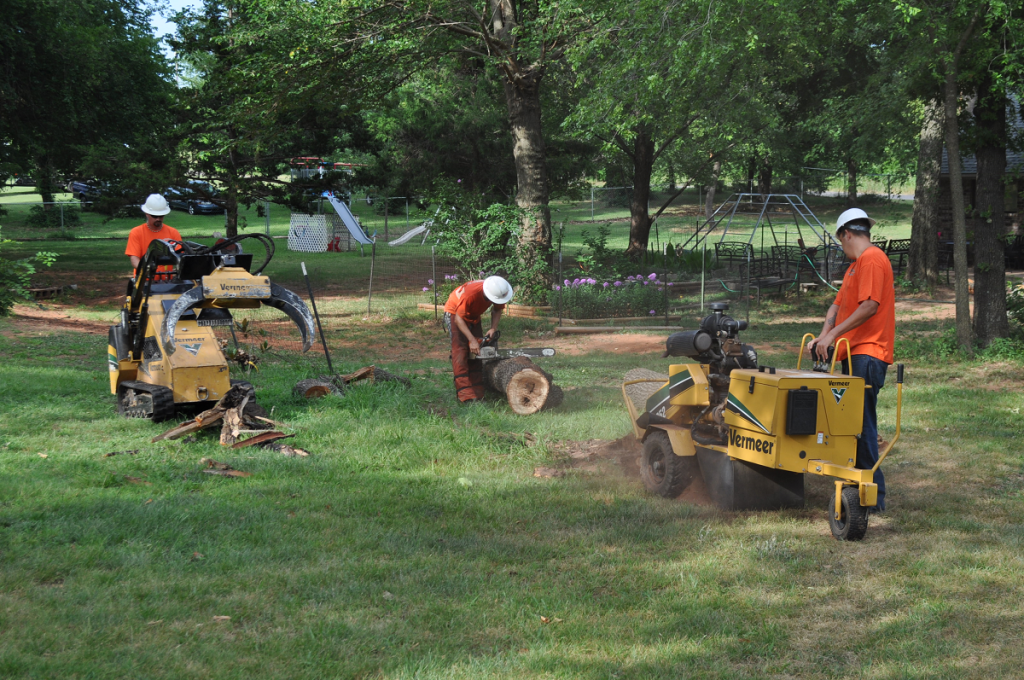 Arborscapes Tree Service Stump Grinding