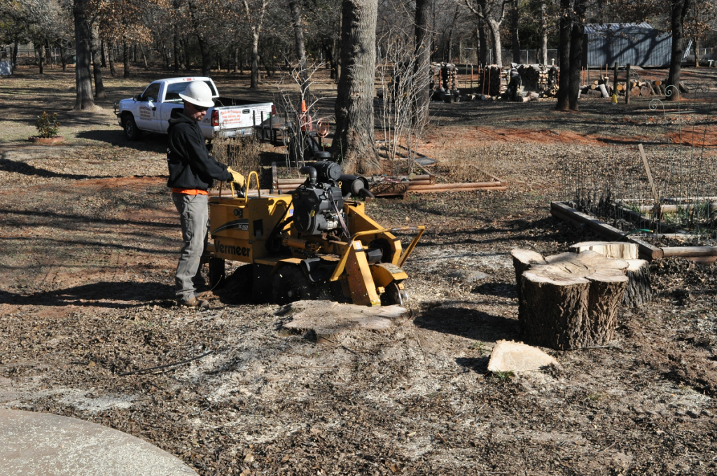 Arborscapes Tree Service Stump Grinding Service