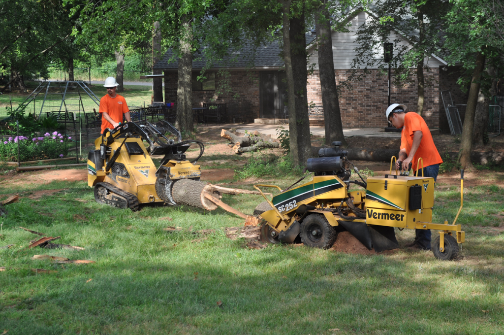 Arborscapes Tree Service Tree Removal