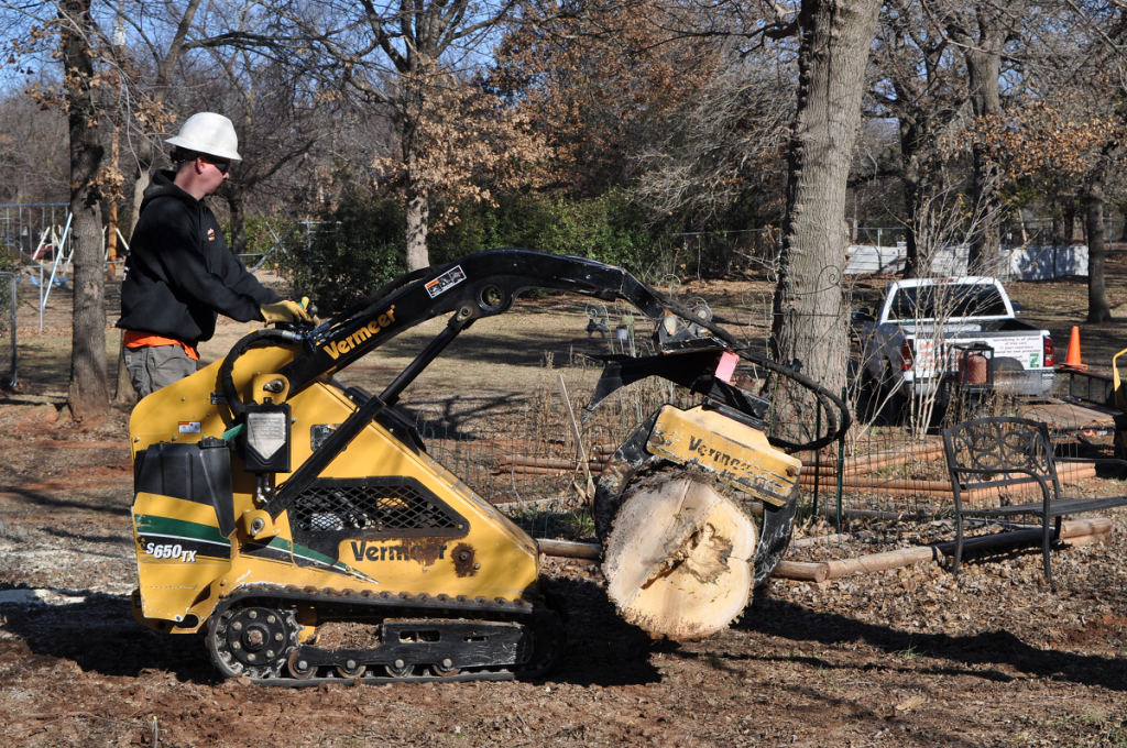 Arborscapes Tree Service Tree Removal Service