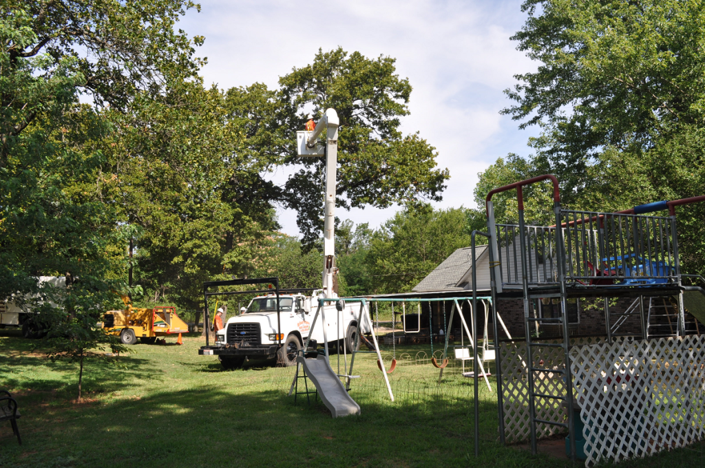 Tree Pruning Choctaw OK