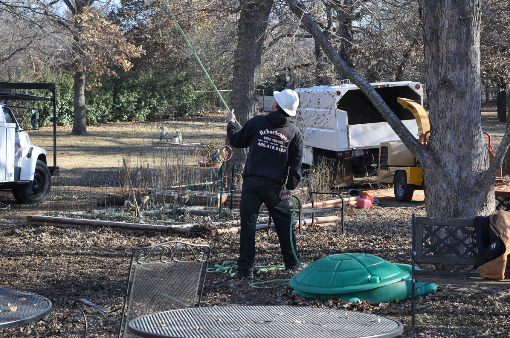 Tree Pruning Midwest City OK