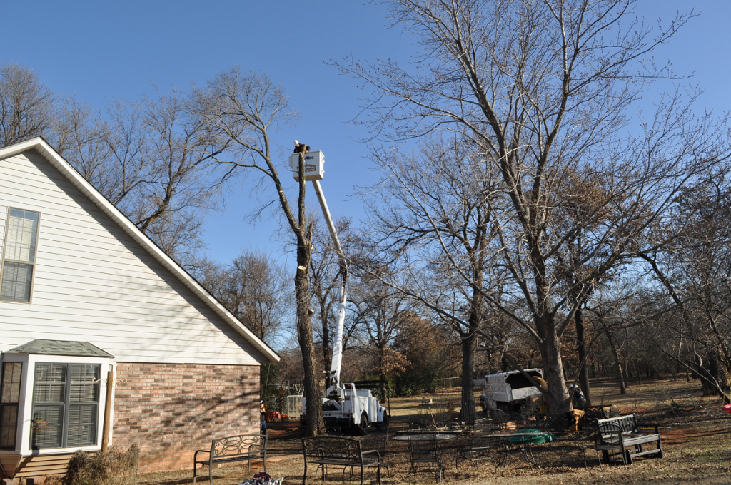 Tree Removal Company Midwest City First