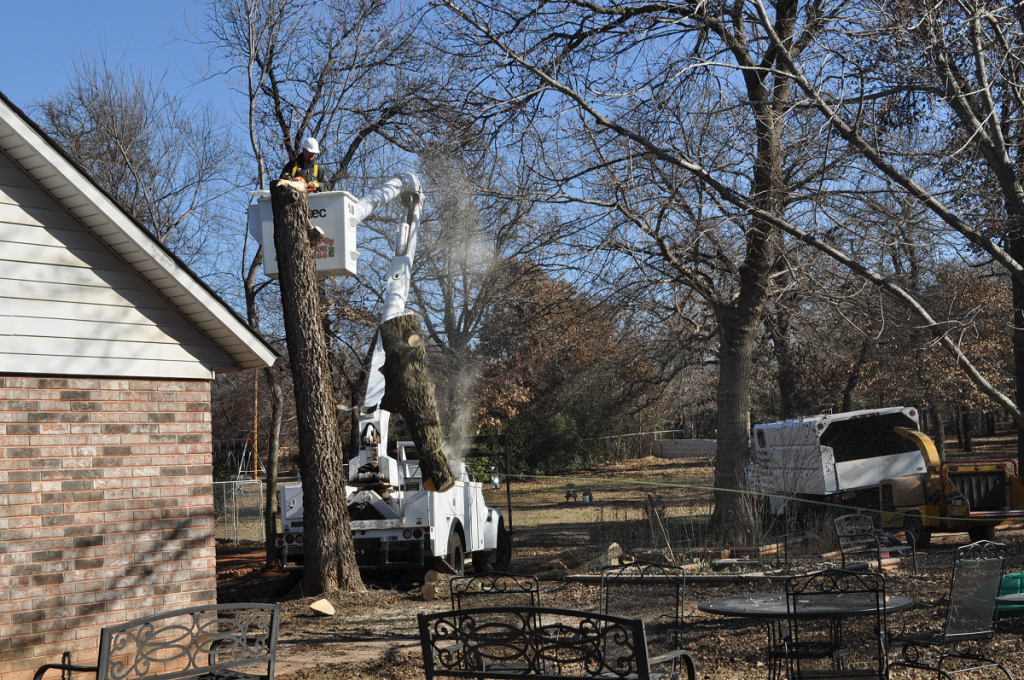 Tree Removal Company Midwest City Third