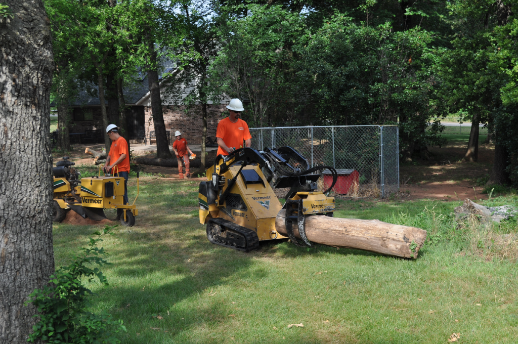 Tree Removal Midwest City