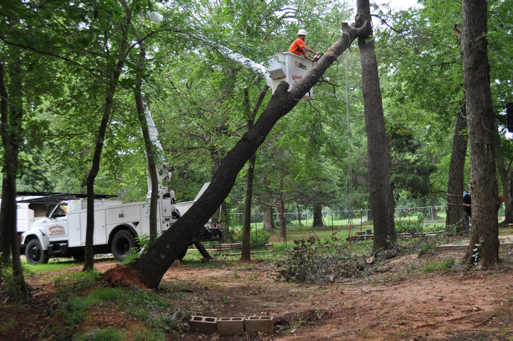 Tree Removal Services Choctaw OK