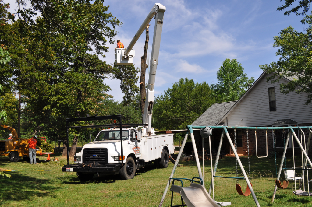 Tree Removal Services Midwest City OK