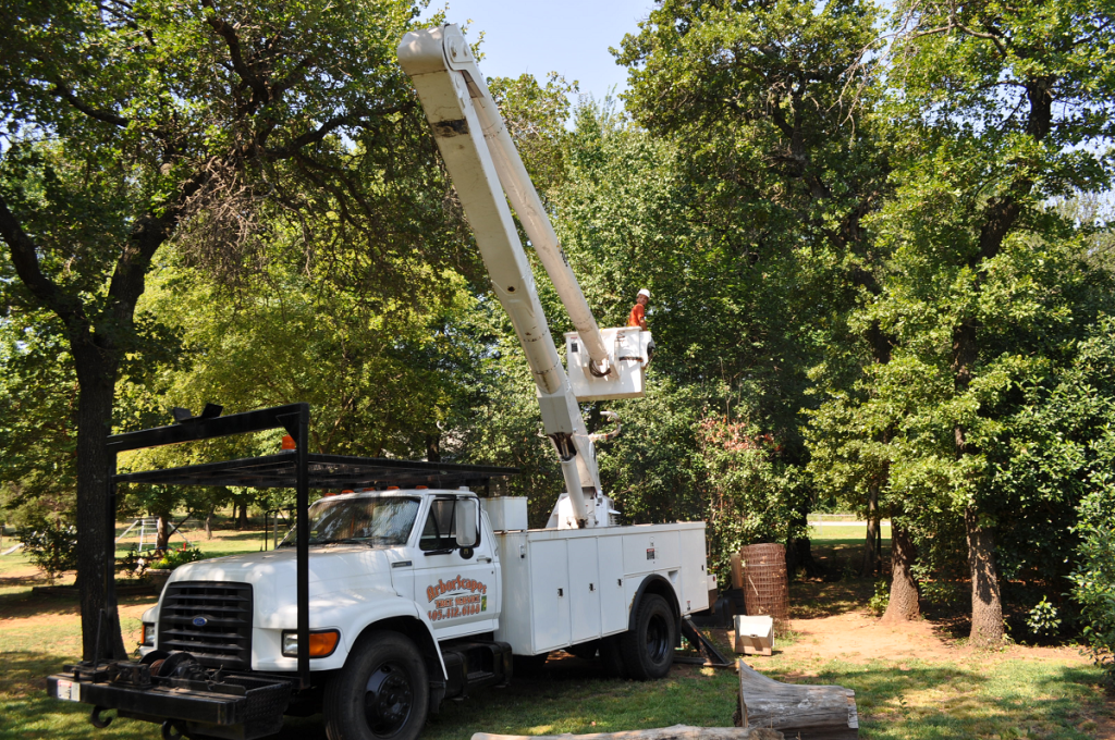 Tree Service Midwest City OK