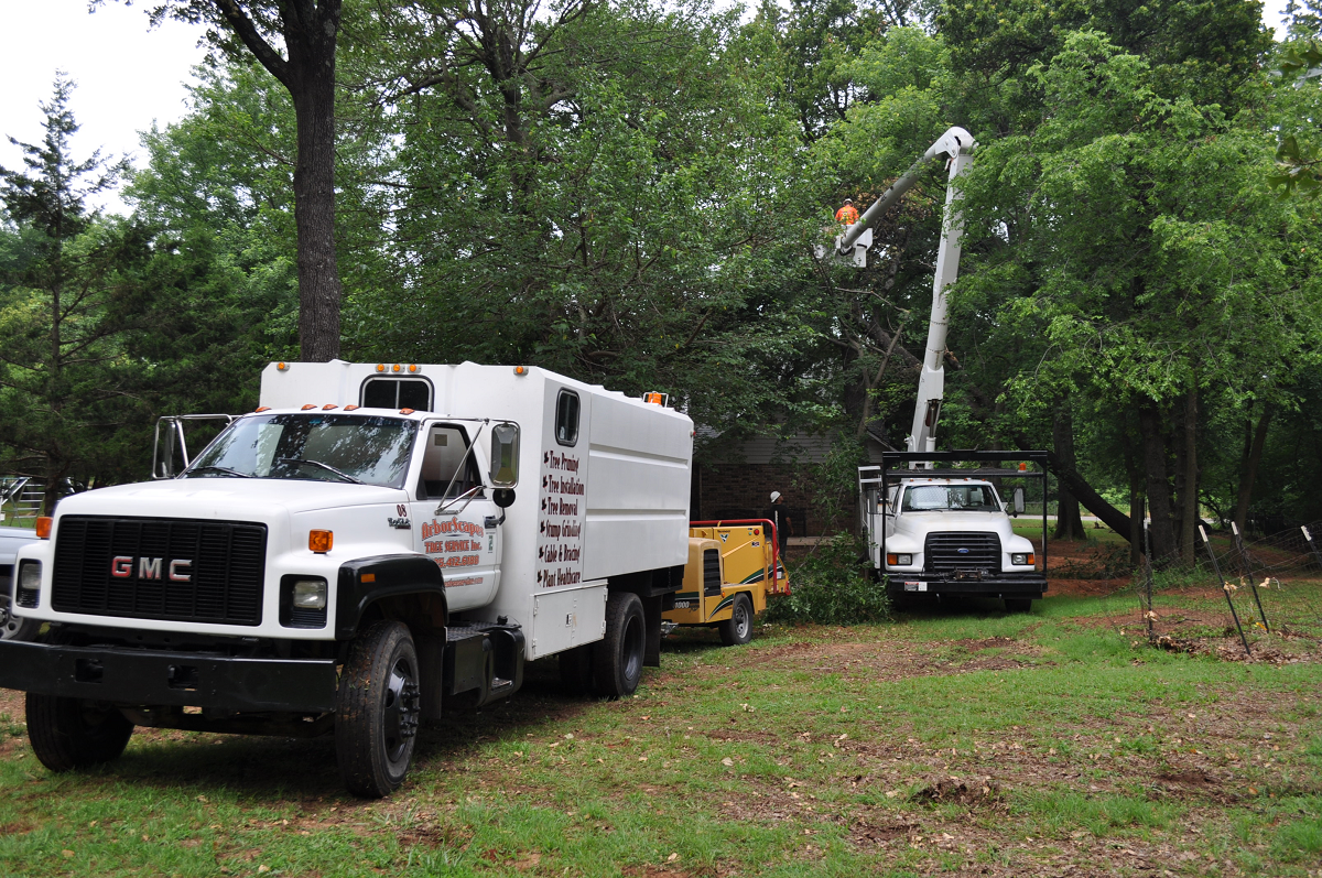 Tree Trimming Company Choctaw OK