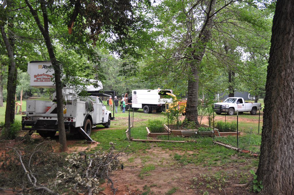 Tree Trimming by Arborscapes Tree Service